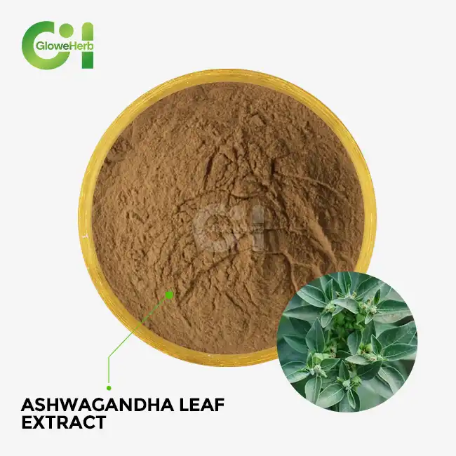 ashwagandha leaf extract ashwagandha leaf extract